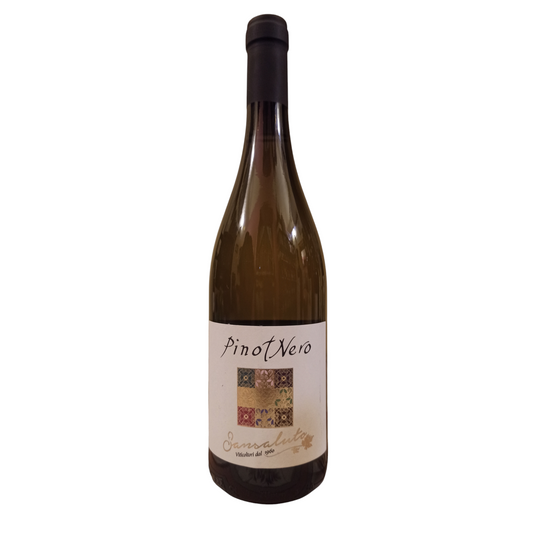 Pinot nero vinificato in bianco frizzante Sansaluto Terre d'Oltrepò